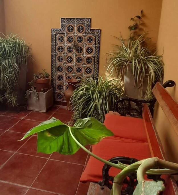 ¨Las Mayolicas¨ Hermoso Depto Con Patio Espanol Mendoza Zewnętrze zdjęcie